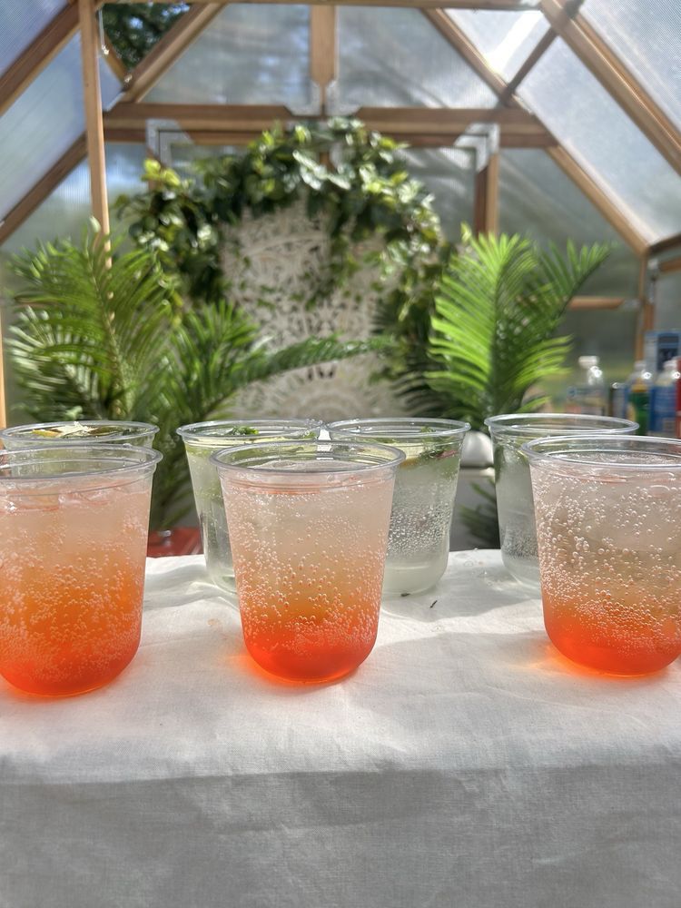 Shake It Up Mobile Bartending gallery photo